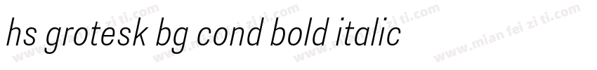 hs grotesk bg cond bold italic字体转换